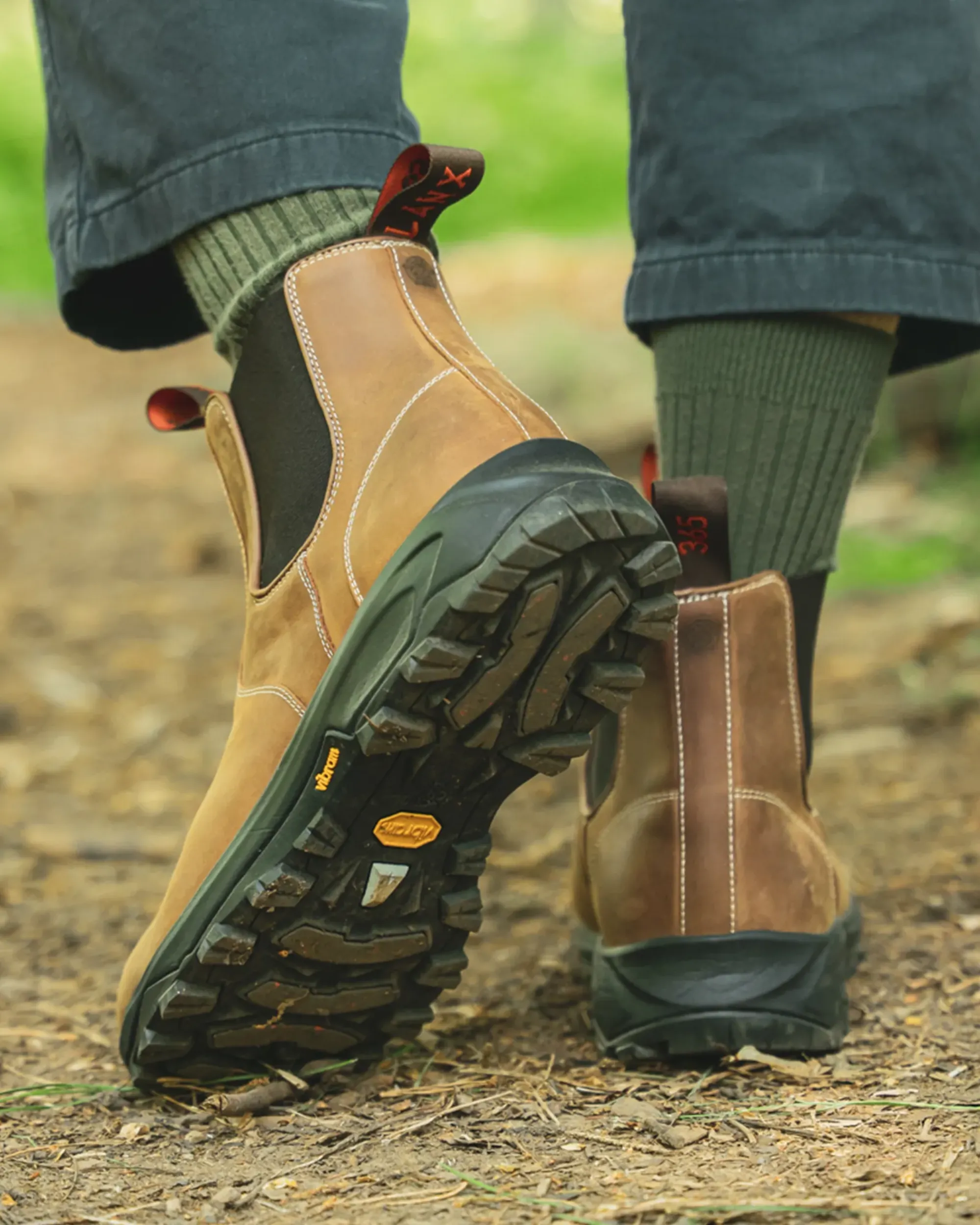 RIBCHESTER // ACACIA DISTRESSED - Image 5