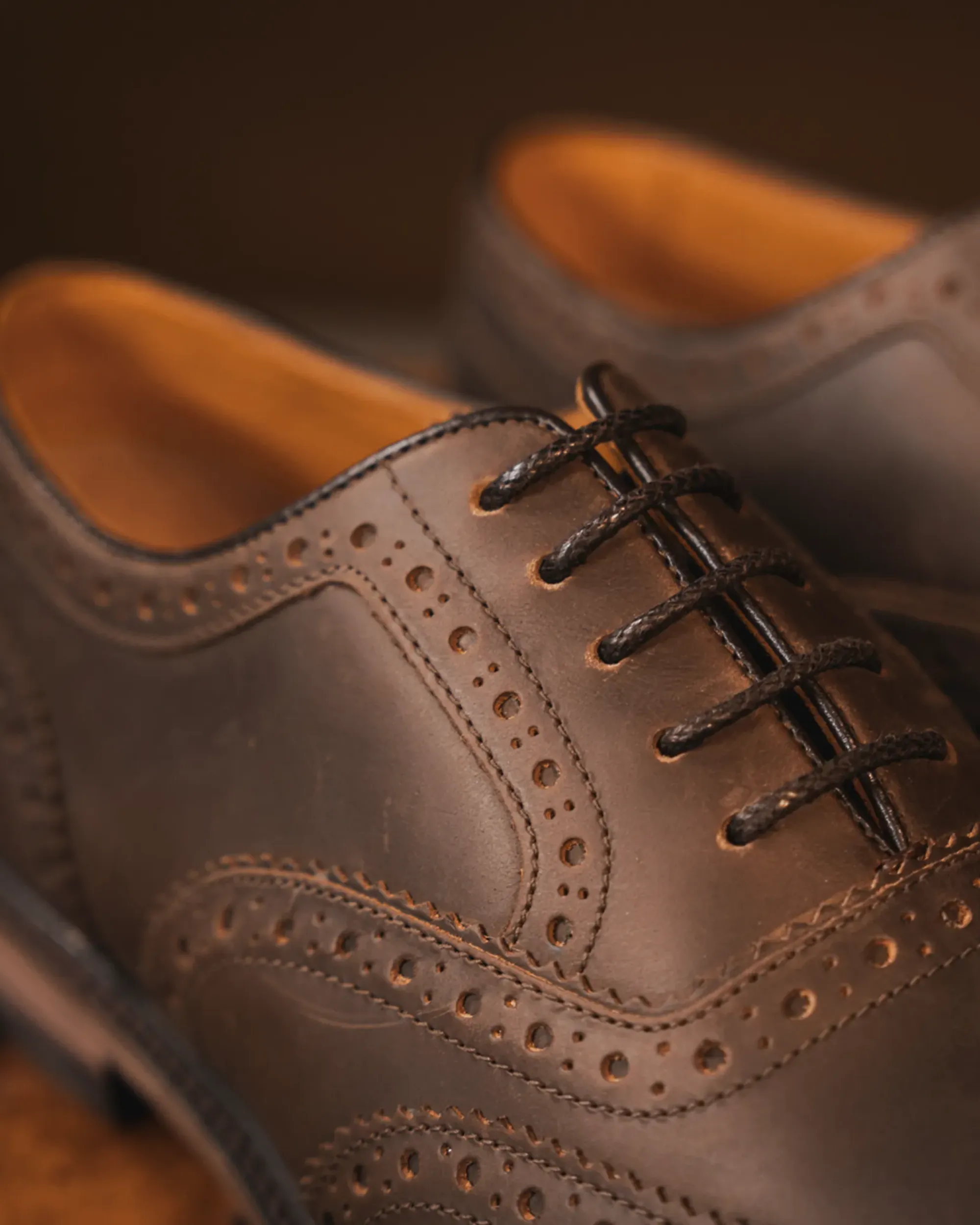 SHIREBURN // BROWN DISTRESSED - Image 4